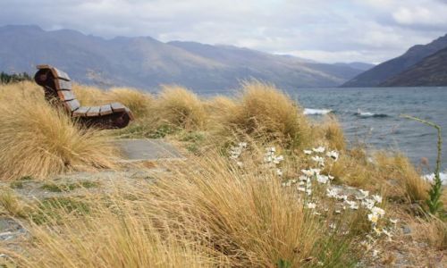 Zdjecie NOWA ZELANDIA / Wyspa Poudniowa / - / Queenstown