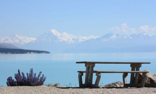 Zdjecie NOWA ZELANDIA / Wyspa Poudniowa / - / Lake Tekapo