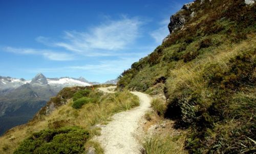 Zdjcie NOWA ZELANDIA / Wysa Poudniowa / Routeburn Track / ...