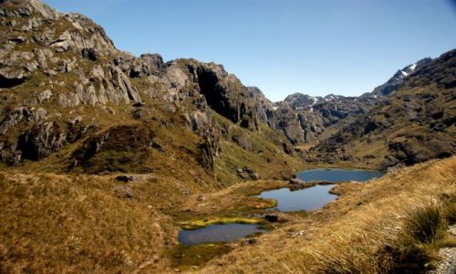 Zdjecie NOWA ZELANDIA / Wysa Poudniowa / Routeburn Track / ...