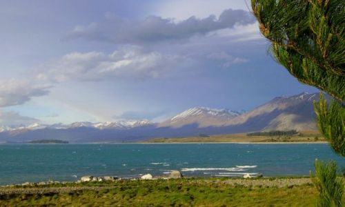 Zdjecie NOWA ZELANDIA / Poudniowa Wyspa / Lake Tekapo / nad turkusowym jeziorem Tekapo