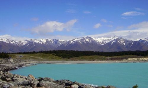 Zdjecie NOWA ZELANDIA / Poudniowa Wyspa / Lake Punaki / nad jeziorem Punaki