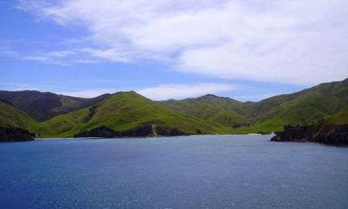 Zdjcie NOWA ZELANDIA / Charlotte Sound / na promie /  meandry Charlotte Sound