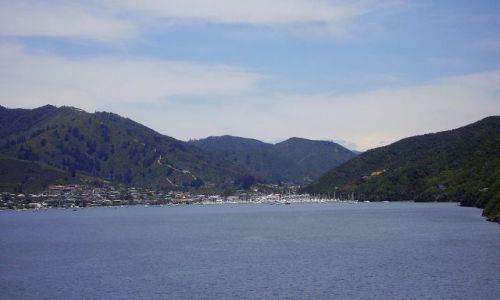 Zdjęcie NOWA ZELANDIA / Charlotte Sound / na promie do Wellington / juz za nami ... port w Picton