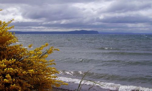 Zdjęcie NOWA ZELANDIA / Północna Wyspa / jezioro Taupo / wiosennie nad Lake Taupo