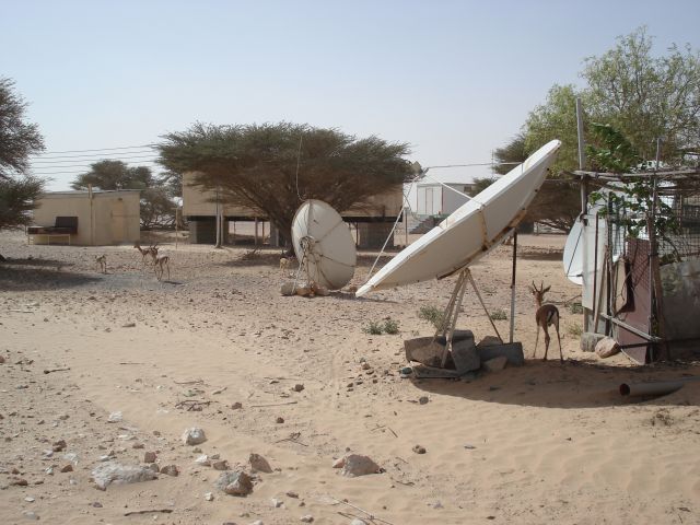 Zdjęcia: Jaaluni, Al Wusta, Rezerwat oryksa arabskiego, OMAN Zdjęcia: Jaaluni, Al Wusta, Rezerwat oryksa arabskiego, OMAN