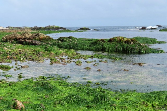 Zdj cia: Dhofar, Wybrzee Oceanu Indyjskiego, OMAN