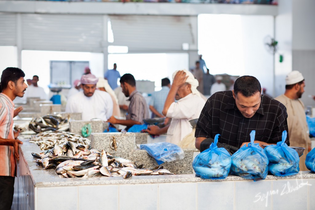 Zdjęcia: Sohar Fish Market, Sohar, Handel, OMAN Zdjęcia: Sohar Fish Market, Sohar, Handel, OMAN