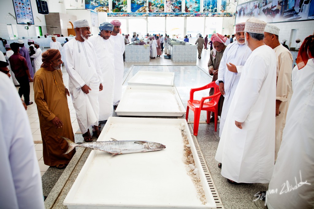 Zdjęcia: Sohar Fish Market, Sohar, Licytacja ryby, OMAN Zdjęcia: Sohar Fish Market, Sohar, Licytacja ryby, OMAN