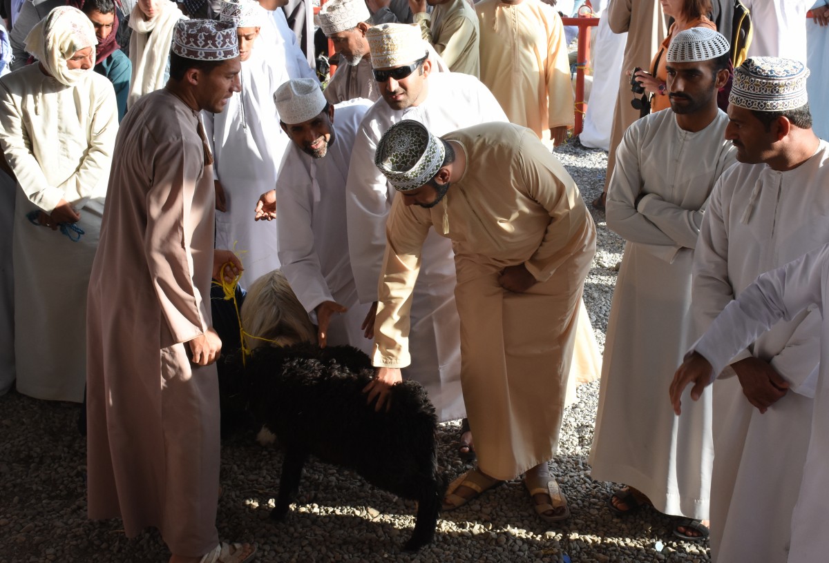 Zdjęcia: Kozi Targ, Nizwa, Oględziny, OMAN Zdjęcia: Kozi Targ, Nizwa, Oględziny, OMAN