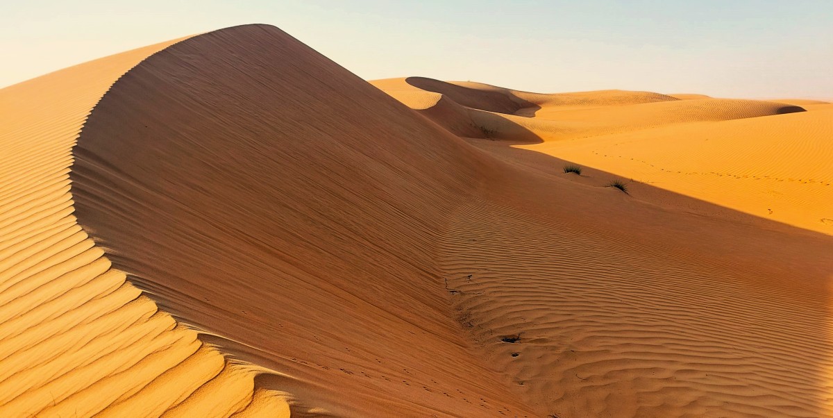 Zdjęcia: Wydmy pustyni, Wahiba Sands, Rytm pustyni, OMAN Zdjęcia: Wydmy pustyni, Wahiba Sands, Rytm pustyni, OMAN