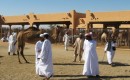 Zdjęcie ZJEDNOCZONE EMIRATY ARABSKIE / Al Ain / Na targu / Prezentacje