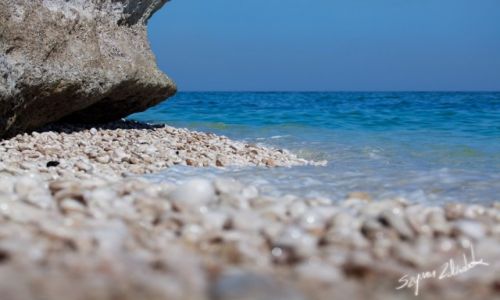 Zdjcie OMAN / Fins / White Beach / Fins, White Beach