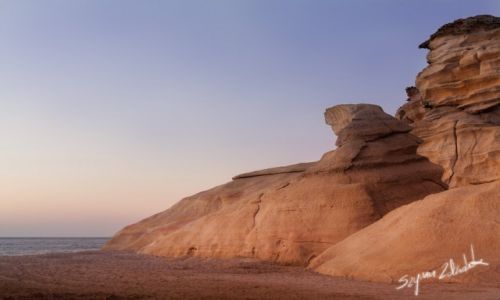 Zdjcie OMAN / Ras al Jinz / Ras al Jinz / Ras al Jinz