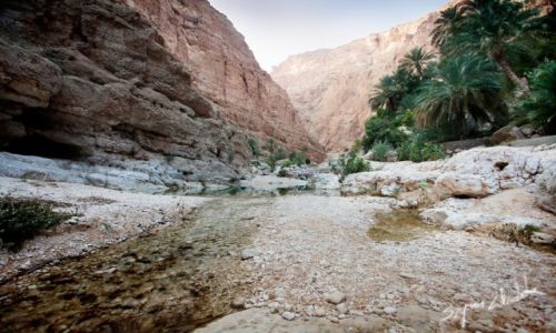 Zdjcie OMAN / Wadi Shab / Wadi Shab / Wadi Shab