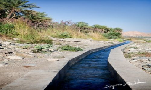 Zdjcie OMAN / Okolice Qurayyat / Wadi Dayqah Dam / Falaj