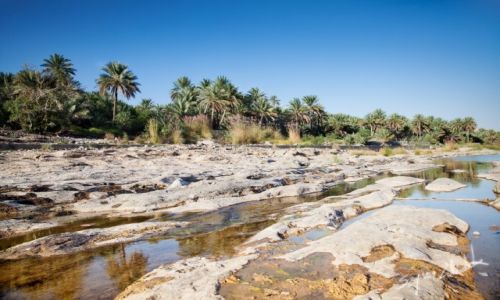 Zdjcie OMAN / Okolice Qurayyat / Wadi Dayqah Dam / Wadi Dayqah Dam