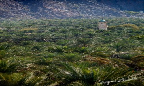 Zdjęcie OMAN / - / Nakhal / Minaret