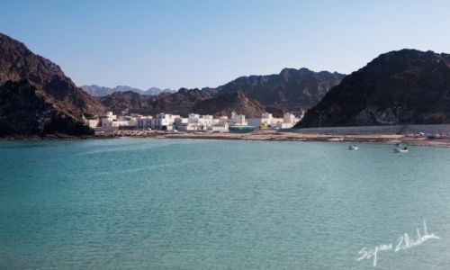 Zdj�cie OMAN / - / Darsait / Darsait