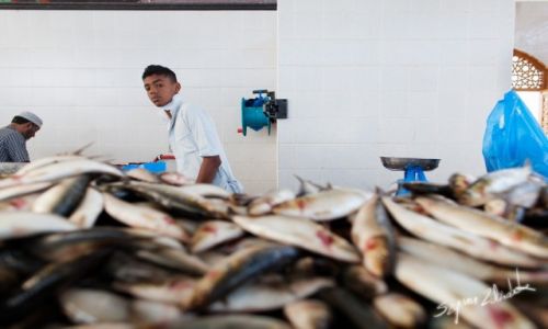 Zdjcie OMAN / Sohar / Sohar Fish Market / Sprzedawca