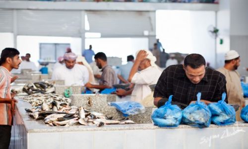 Zdjcie OMAN / Sohar / Sohar Fish Market / Handel