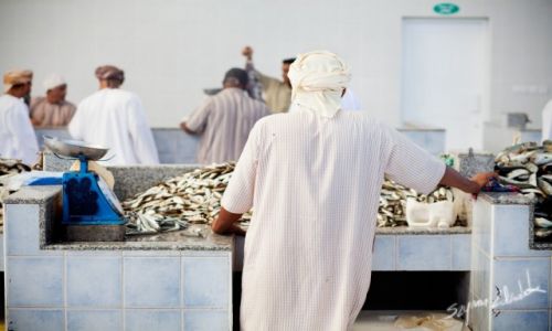 Zdjcie OMAN / Sohar / Sohar Fish Market / Stoisko rybne