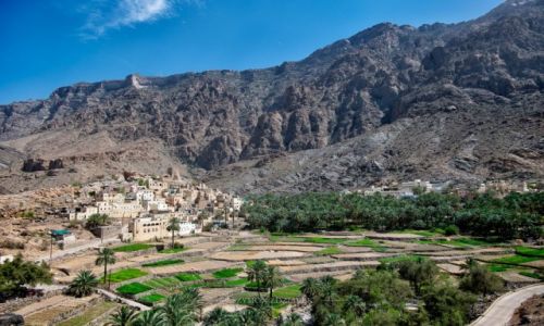 Zdjcie OMAN / Wadi Bani Awf / Bilad Sayt / Tarasy uprawne