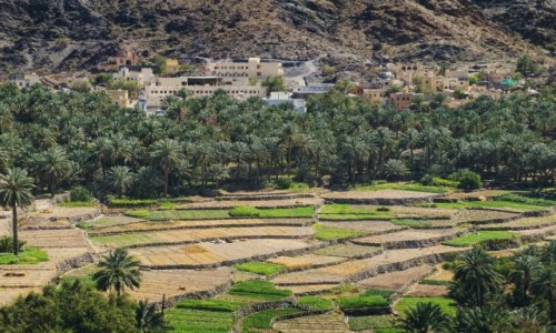 Zdjcie OMAN / Al Hajar Mountains / Bilad Sayt / Wioska