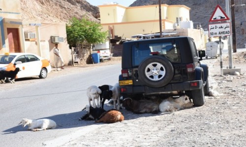Zdjcie OMAN / Muscat / W drodze na Yiti / Gorco