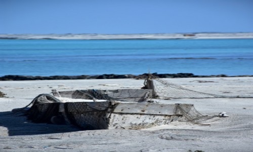 Zdjecie OMAN / Masirah / Masirah / Spalona socem