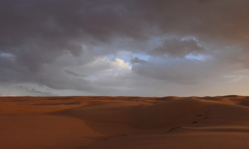 Zdjcie OMAN / Wahiba Sands / Wahiba Sands / Nad pustyni idzie deszcz