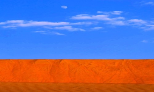 Zdjcie OMAN / Wahiba Sands / Na pustyni / Trzy kolory