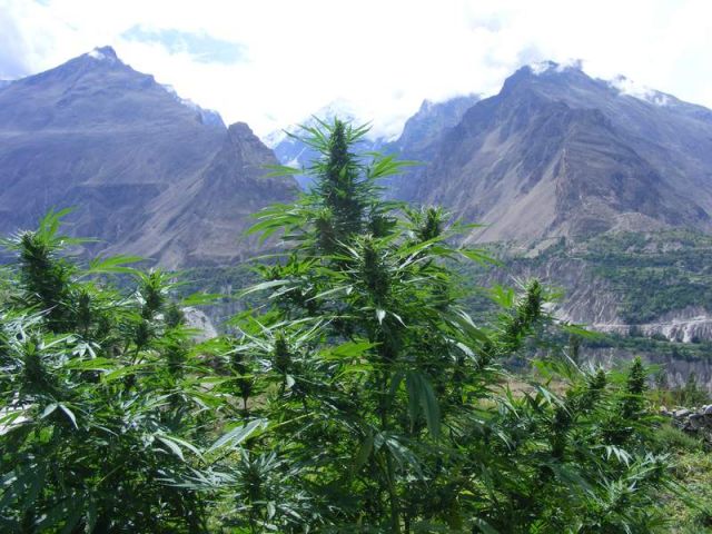 Zdjęcia: Gilgit - Sust, Karakorum Highway, Pakistan - Karakorum Highway, PAKISTAN Zdjęcia: Gilgit - Sust, Karakorum Highway, Pakistan - Karakorum Highway, PAKISTAN