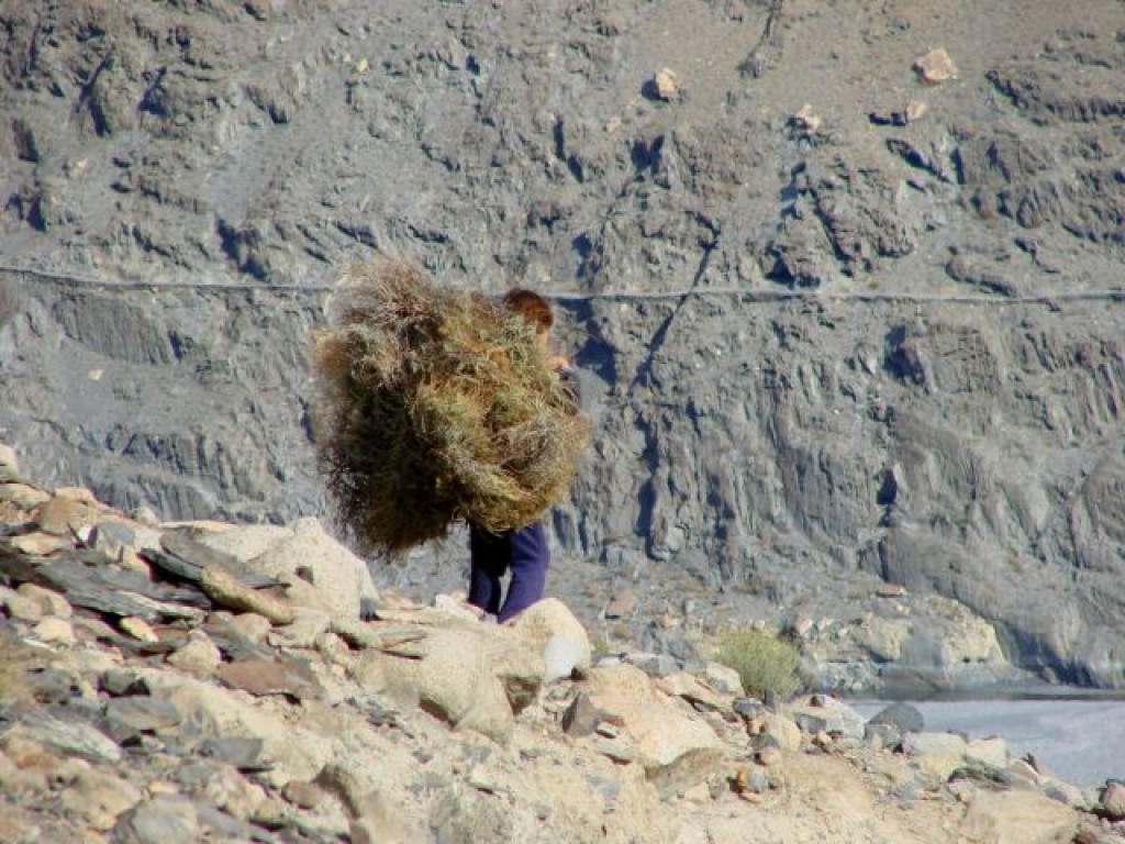 Zdjęcia: Karakorum, Karakorum, Karakorum, PAKISTAN Zdjęcia: Karakorum, Karakorum, Karakorum, PAKISTAN