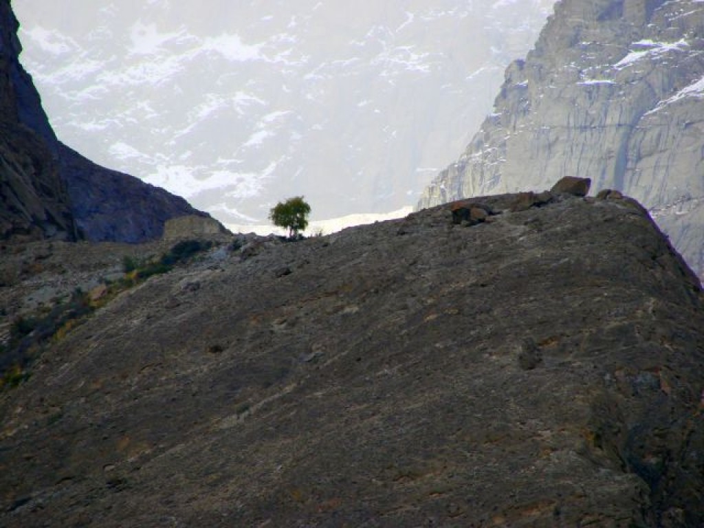 Zdjęcia: Karakorum, Karakorum, Karakorum, PAKISTAN Zdjęcia: Karakorum, Karakorum, Karakorum, PAKISTAN