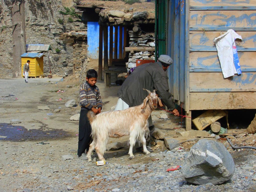 Zdjęcia: Bumburet, Bumburet, Koza, PAKISTAN Zdjęcia: Bumburet, Bumburet, Koza, PAKISTAN