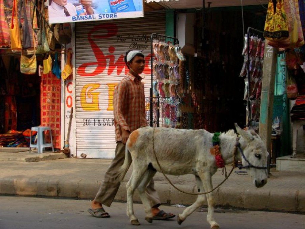 Zdjęcia: Lahor, Lahor, Spcer, PAKISTAN Zdjęcia: Lahor, Lahor, Spcer, PAKISTAN