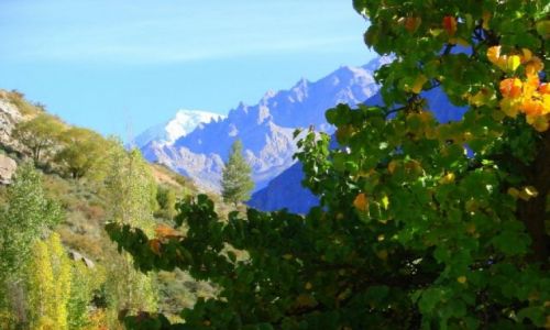 Zdjecie PAKISTAN / Karakorum / Karakorum / Karakorum