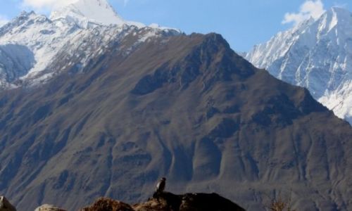 Zdjecie PAKISTAN / Karakorum / Karakorum / Karakorum