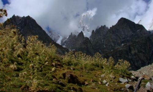 Zdjecie PAKISTAN / Hunza / Hunza / Karakorum