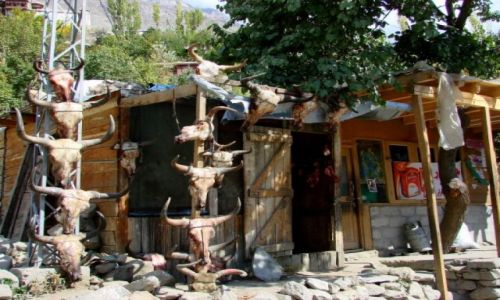 Zdjęcie PAKISTAN / Hunza / Hunza / Mięsny
