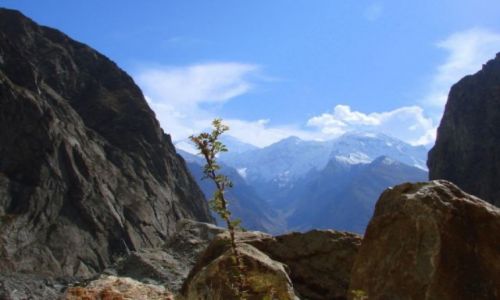 Zdjecie PAKISTAN / Hunza / Hunza / Samotne