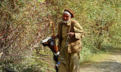 Zdjecie PAKISTAN / Bumburet / Bumburet / Bumburet