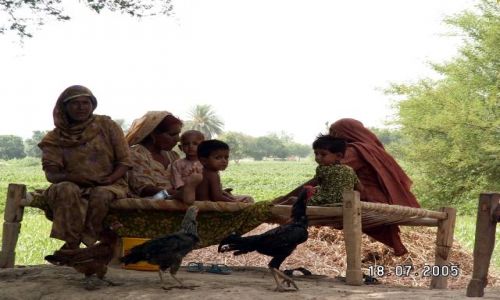 Zdjcie PAKISTAN / Pakistan / Fort Derawar / Kobiety z Fortu Derawar