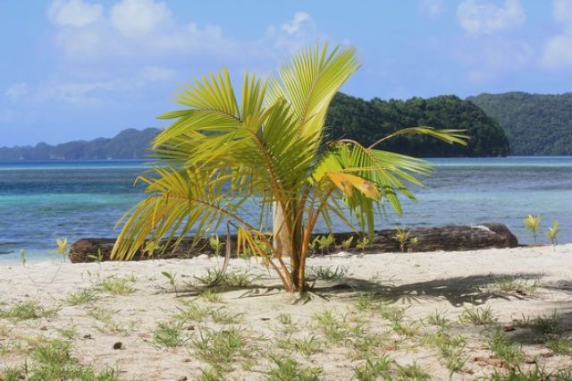 Zdjęcia: Palau, kiedyś będę duża, PALAU Zdjęcia: Palau, kiedyś będę duża, PALAU