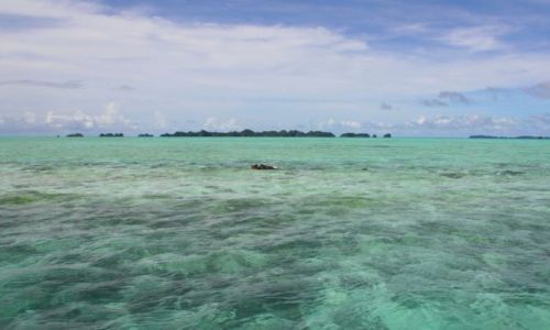 Zdjecie PALAU / - / Palau / pytko i piknie