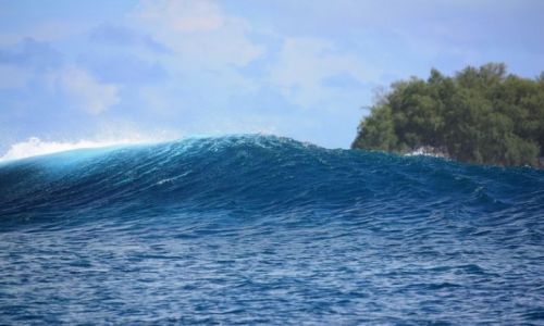 PALAU / - / Palau / fala