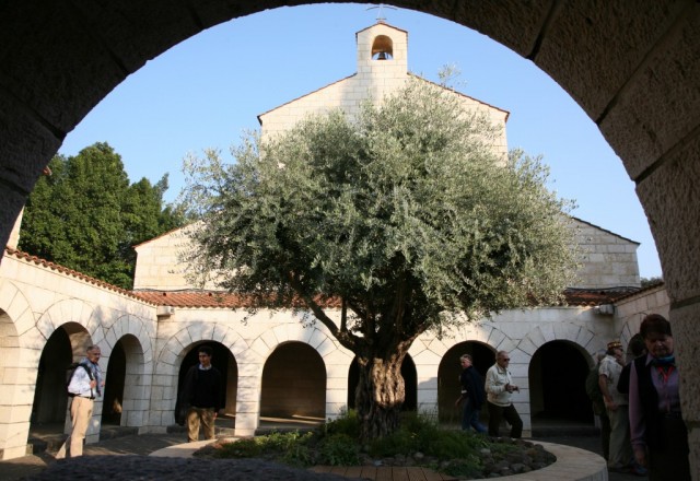 Zdj cia: W okolicach Kafarnaum, Galilea, Kościół rozmnożenia chleba i ryb, IZRAEL Zdj cia: W okolicach Kafarnaum, Galilea, Kościół rozmnożenia chleba i ryb, IZRAEL