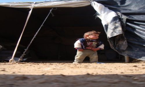 Zdjecie PALESTYNA / Poudniowy Hebron / Osada Dkaika / Mody beduin pilnuje domu...