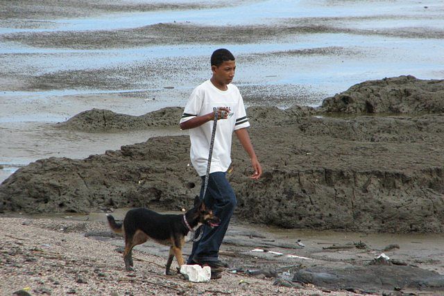 Zdjęcia: okolice Panama Viejo, Panama City, Spacer brzegiem Pacyfiku, PANAMA Zdjęcia: okolice Panama Viejo, Panama City, Spacer brzegiem Pacyfiku, PANAMA